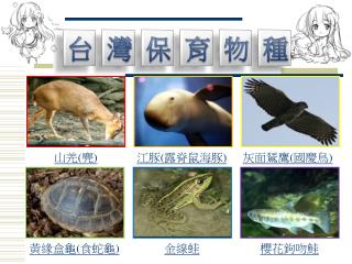 山羌 ( 麂 )