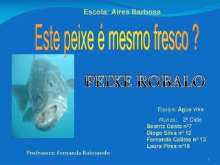 PEIXE ROBALO