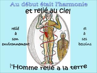 Au début était l'harmonie