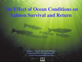 The Effect of Ocean Conditions on Salmon Survival and Return