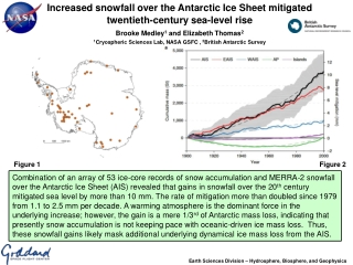 Increased snowfall over the Antarctic Ice Sheet mitigated twentieth-century sea-level rise