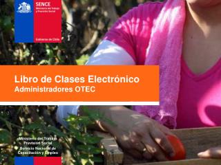 Libro de Clases Electrónico Administradores OTEC