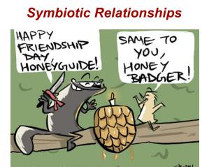 Symbiotic Relationships