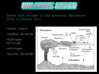 Gases that escape in the greatest abundance from volcanoes are: