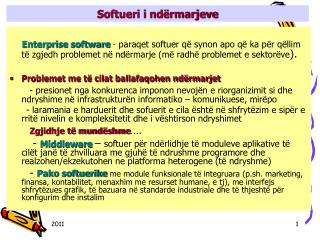 Softueri i ndërmarjeve