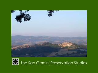 The San Gemini Preservation Studies