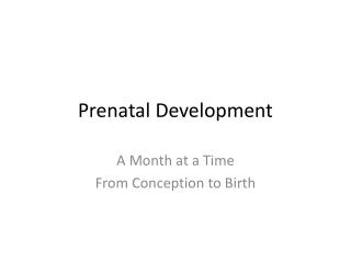 Prenatal Development
