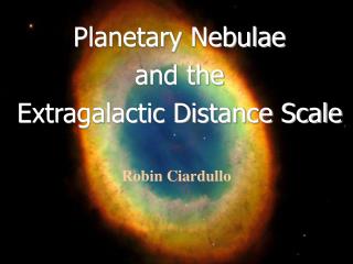 Planetary Nebulae and the Extragalactic Distance Scale