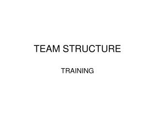 TEAM STRUCTURE