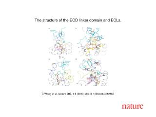 C Wang et al. Nature 000 , 1-6 (2013) doi:10.1038/nature12167