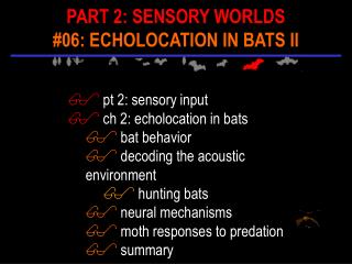 pt 2: sensory input ch 2: echolocation in bats bat behavior decoding the acoustic environment