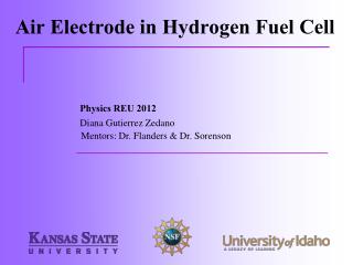Air Electrode in Hydrogen Fuel Cell