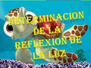 DETERMINACION DE LA REFLEXION DE LA LUZ