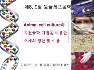 Animal cell culture 와 유전공학 기법을 이용한 소재의 생산 및 이용