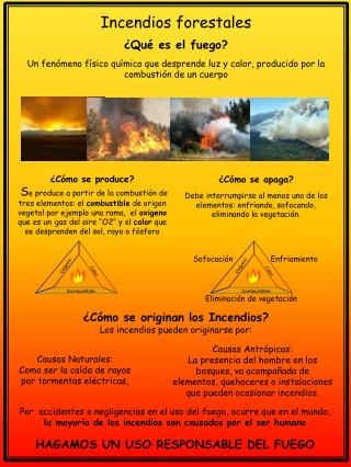 Incendios forestales ¿Qué es el fuego?