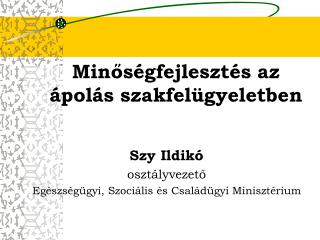 Minőségfejlesztés az ápolás szakfelügyeletben