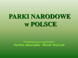 Prezentację przygotowali: Karolina Sobierajska i Maciek Wojtczak