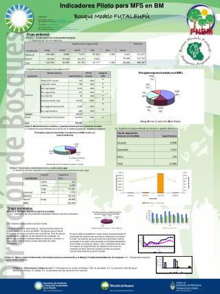 Indicadores Piloto para MFS en BM Bosque Modelo FUTALEUFÚ