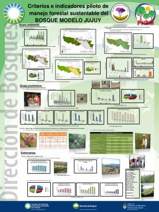 Criterios e indicadores piloto de manejo forestal sustentable del BOSQUE MODELO JUJUY