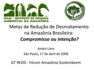Metas de Redução de Desmatamento na Amazônia Brasileira: Compromisso ou intenção?