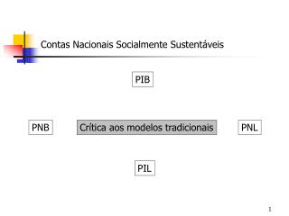 Contas Nacionais Socialmente Sustentáveis