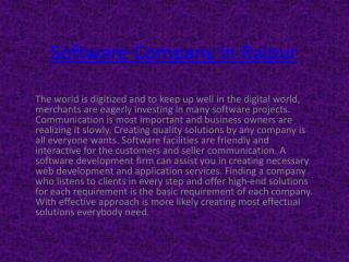 Software Company Raipur
