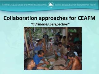 Collaboration approaches for CEAFM