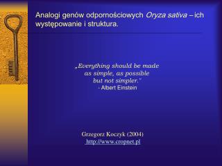 Analogi genów odpornościowych Oryza sativa – ich występowanie i struktura.