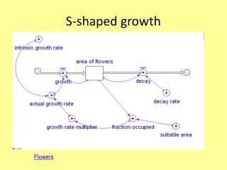 S-shaped growth