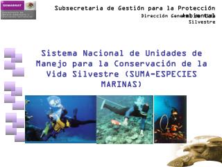 Sistema Nacional de Unidades de Manejo para la Conservación de la Vida Silvestre . (SUMA)