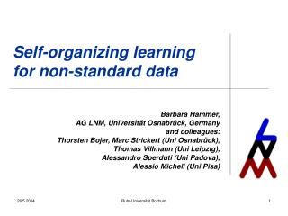 Self-organizing learning for non-standard data