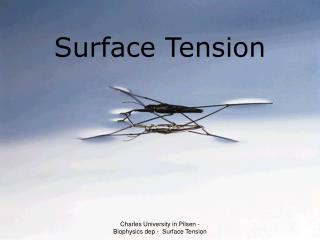 Surface Tension