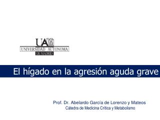 Prof. Dr. Abelardo García de Lorenzo y Mateos Cátedra de Medicina Crítica y Metabolismo