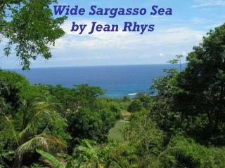 Wide Sargasso Sea by Jean Rhys