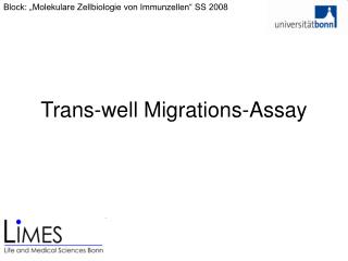 Trans-well Migrations-Assay
