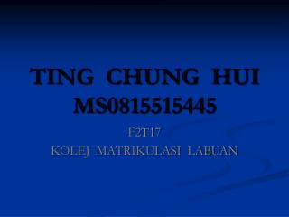 TING CHUNG HUI MS0815515445