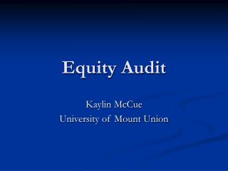 Equity Audit