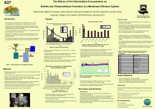 The Effects of Pre-Chlorination Concentration on