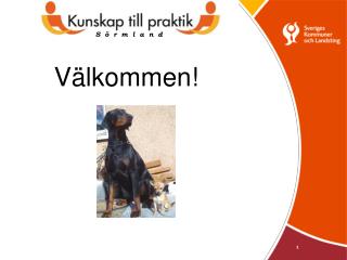 Välkommen!