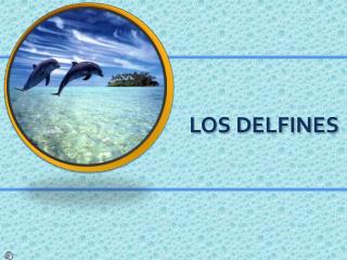 LOS DELFINES