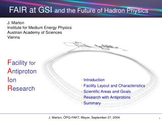 FAIR at GSI and the Future of Hadron Physics