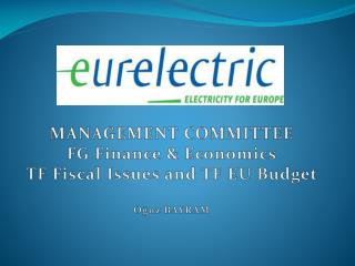 MANAGEMENT COMMITTEE FG Finance &amp; Economics TF Fiscal Issues and TF EU Budget Oğuz BAYRAM