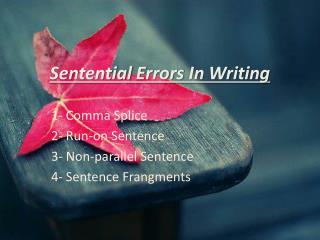 Sentential Errors In Writing