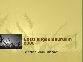 Eesti julgeolekuruum 2008