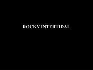 ROCKY INTERTIDAL