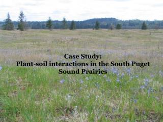 Case Study: Plant-soil interactions in the South Puget Sound Prairies
