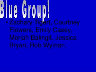 Blue Group!
