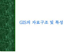 GIS 의 자료구조 및 특성