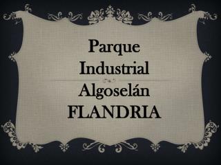 ALGOSELAN - Villa Flandria / Grupo celeste