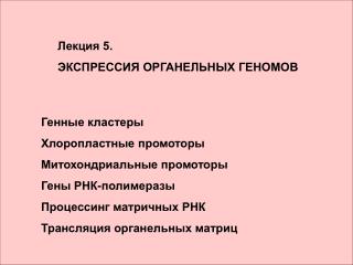 Лекция 5. ЭКСПРЕССИЯ ОРГАНЕЛЬНЫХ ГЕНОМОВ